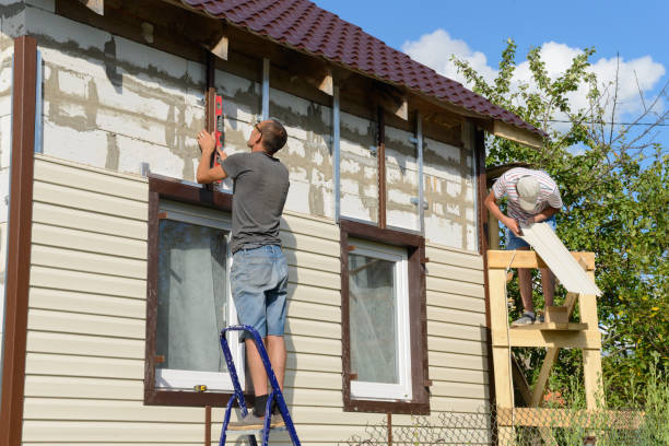 Best Stone Veneer Siding  in Afton, WY